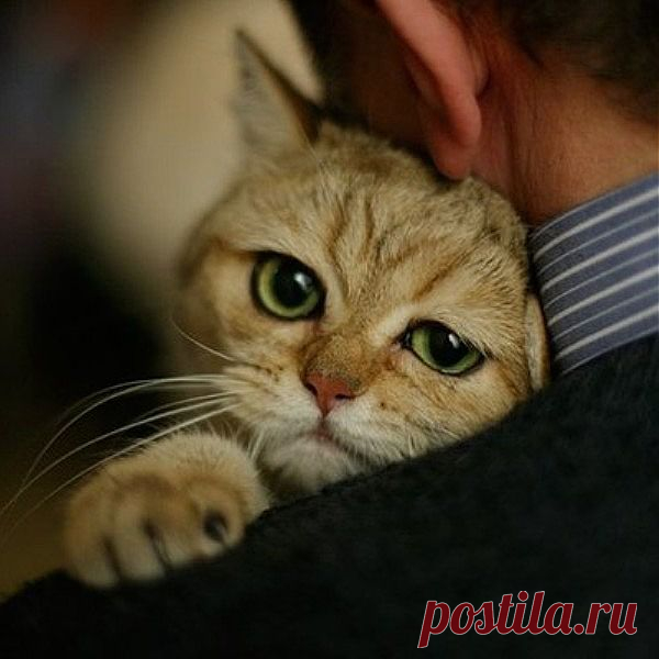 Мой Мир@Mail.Ru