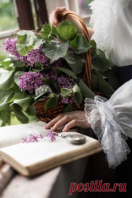 ༺🌸༻Запевающий сон, зацветающий цвет,
Исчезающий день, погасающий свет.
Открывая окно, увидал я сирень.
Это было весной - в улетающий день.
Раздышались цветы - и на тёмный карниз
Передвинулись тени ликующих риз.
Задыхалась тоска, занималась душа,
Распахнул я окно, трепеща и дрожа.
И не помню - откуда дохнула в лицо,
Запевая, сгорая, взошла на крыльцо ...
А.Блок