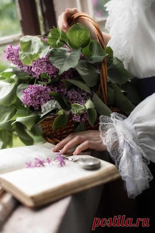 ༺🌸༻Запевающий сон, зацветающий цвет,
Исчезающий день, погасающий свет.
Открывая окно, увидал я сирень.
Это было весной - в улетающий день.
Раздышались цветы - и на тёмный карниз
Передвинулись тени ликующих риз.
Задыхалась тоска, занималась душа,
Распахнул я окно, трепеща и дрожа.
И не помню - откуда дохнула в лицо,
Запевая, сгорая, взошла на крыльцо ...
А.Блок