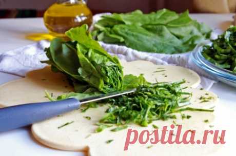 Заготовка щавеля на зиму Заготовка щавеля на зиму. Советы как заготовить и сохранить щавель на зиму. Рецепты щавеля на зиму. Рецепты заготовок из щавеля. Всё про заготовки на зиму.