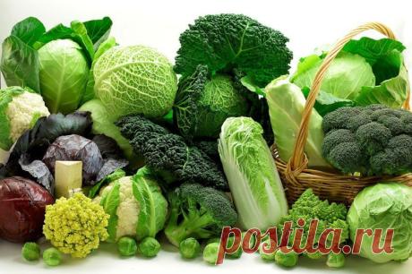 Продукты, не дающие разрастаться раковым клеткам