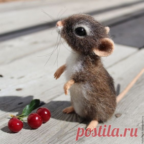 мышь