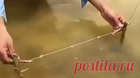 Такую рыбалку я первый раз вижу...