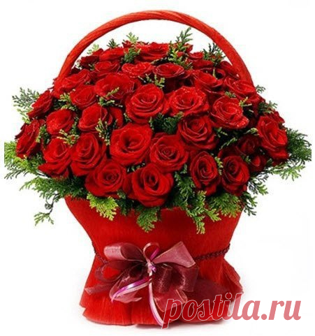 Интересные новости