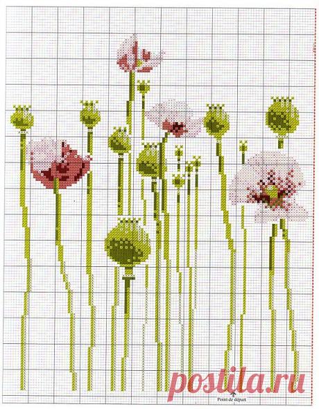 Gallery.ru / Фото #1 - 21 - irisha-ira