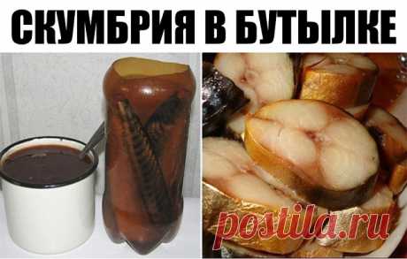 1 непрочитанный чат