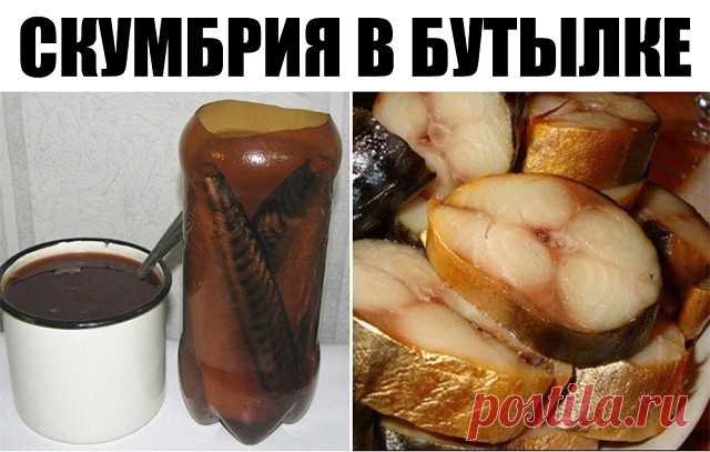 1 непрочитанный чат