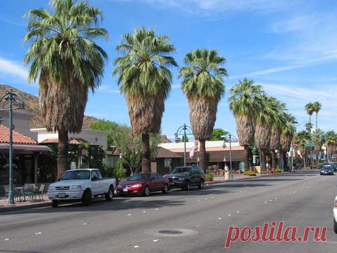 Вашингтония