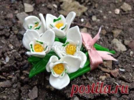 Брошь из полимерной глины Подснежники, Мастер класс с пошаговыми фото