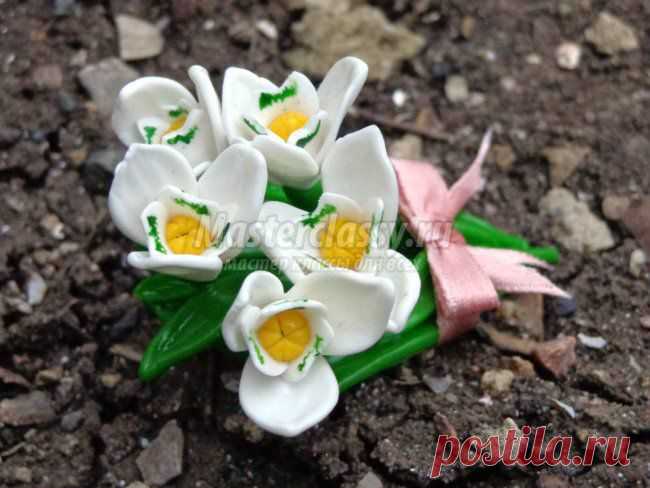 Брошь из полимерной глины Подснежники, Мастер класс с пошаговыми фото