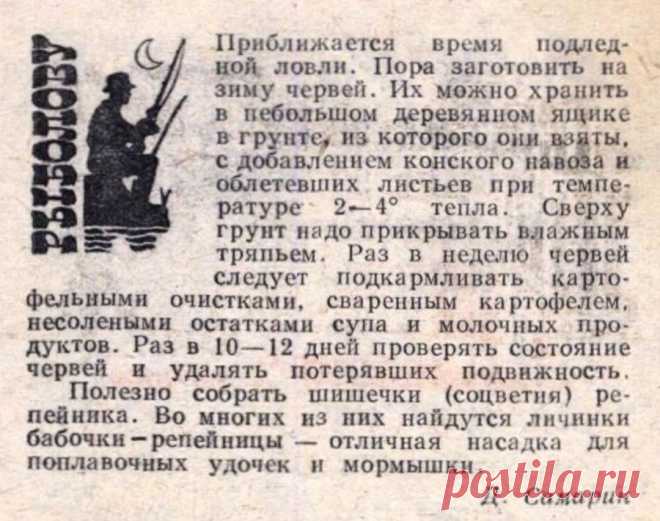 Заготовка на зиму червей для подледной ловли