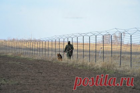 Раскрыты подробности боестолкновения российских пограничников с диверсантами. Российские пограничники ликвидировали до десяти украинских диверсантов, пытавшихся прорваться на территорию Белгородской области. Атака, начавшаяся ночью 18 мая, длилась до рассвета. В итоге пограничники ФСБ массированным огнем вынудили диверсионно-разведывательную группу отступить.