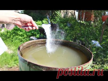 1 столовая ложка этого в бочку для полива и вы не узнаете свои овощи! Завязь сразу же появляется!