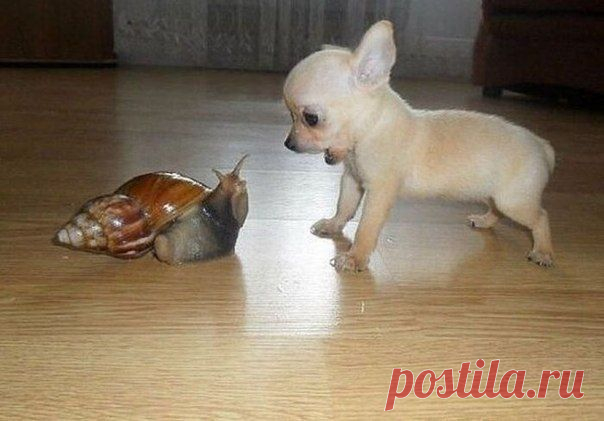 Фотографии на стене сообщества | 32 928 фотографий