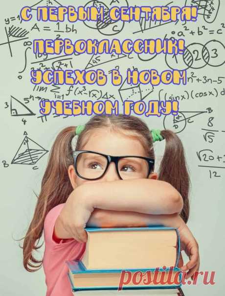 Дорогой наш первоклассник,
В самый первый школьный праздник
Пожелать хотим тебе
Много радостей в судьбе.
