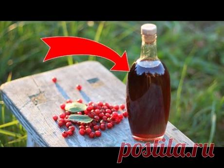 БОЯРЫШНИК И ЕГО ПОЛЬЗА! ДЕЛАЕМ НАСТОЙКУ БОЯРЫШНИКА ДЛЯ ЛЕЧЕНИЯ!