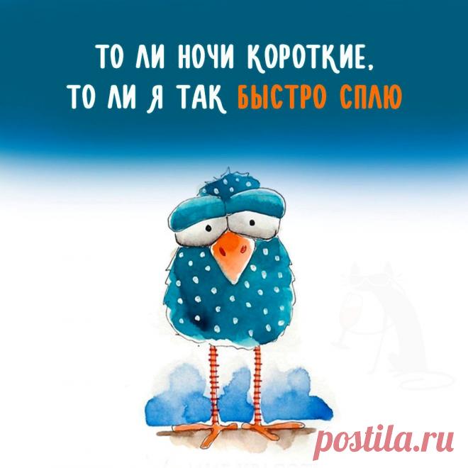 То ли ночи короткие (открытка 1103): Бесплатные картинки &#8226; Открытки Топ