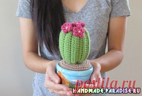 Цветущий вязаный кактус. Схемы - Handmade-Paradise