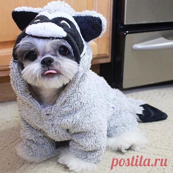 Смешной такой