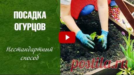 (38) Одноклассники