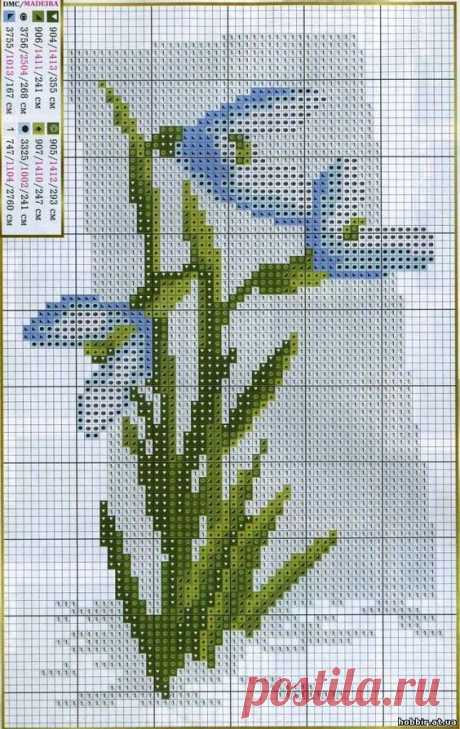 (3) Pinterest