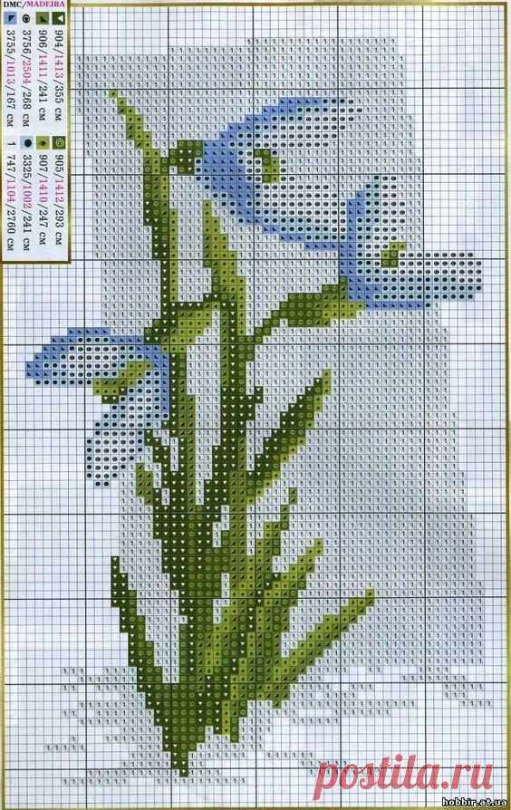 (3) Pinterest