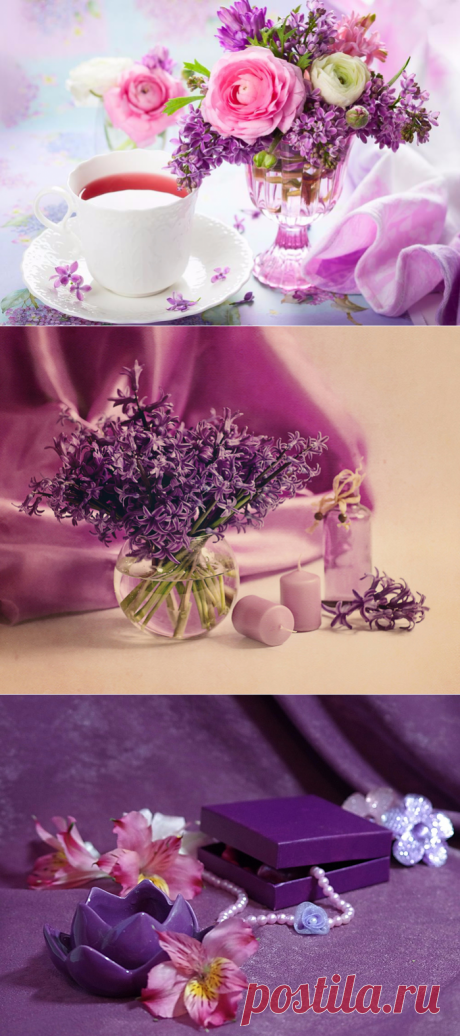 Лилово-розовый натюрморт
