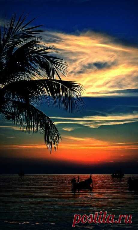 Sunset  |  Pinterest
