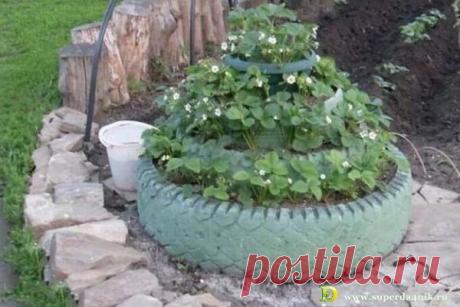 Вертикальные грядки для клубники | СуперДачник