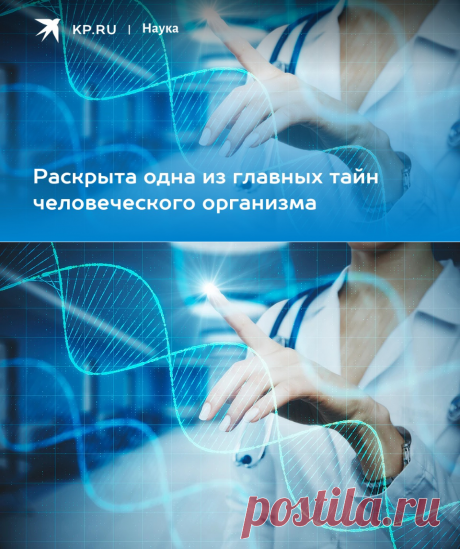 2023- Раскрыта одна из главных тайн человеческого организма - KP.RU