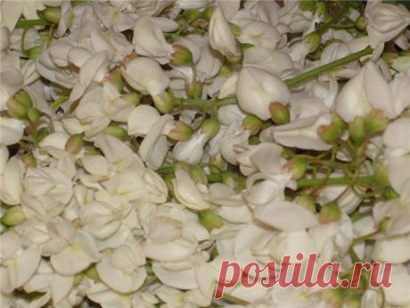 Варенье из акации : Варенье