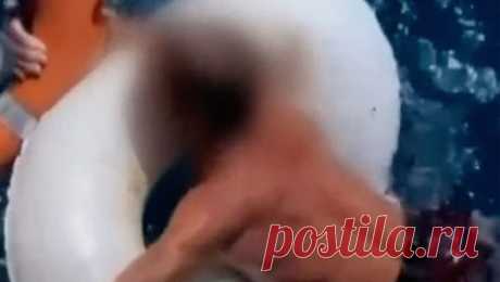 Мужчина уснул на надувном круге и дрейфовал в море 19 часов. Житель Тайваня уснул на надувном круге и проплавал в море 19 часов, пишет Oddity Central. Мужчину заметили рыбаки, проплывавшие рядом с ним. Как пишут СМИ, команда рыболовного судна направлялась в порт Нью-Тайбэй, когда в после зрения ...
