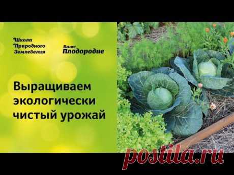 ВИДЕОСЕМИНАРЫ- Ваше Плодородие
