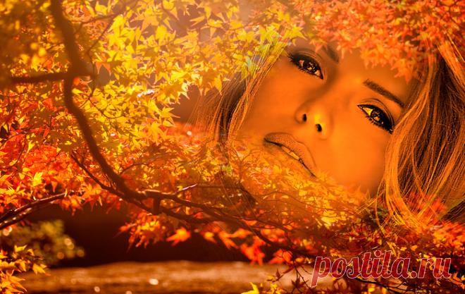 осень | Записи с меткой осень | Дневник Александр_Баловацкий