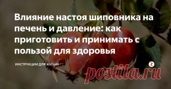 Влияние настоя шиповника на печень и давление: как приготовить и принимать с пользой для здоровья Яркие красно-оранжевые ягоды шиповника продолговатой формы издревле привлекали внимание целителей-травников. Применением их в лечебной практике удавалось излечение от разной хвори. Сегодня настои, отвары, экстракты, чаи и сиропы из шиповника прочно вошли в нашу жизнь, замещая, помогая и вытесняя фармакологические препараты химического действия. Про них в народе по праву говорят: «Одно лечит, а дру