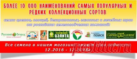 Сибирский Садовод