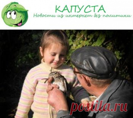 Пожилой педофил вновь пытался совратить ребенка - Капуста