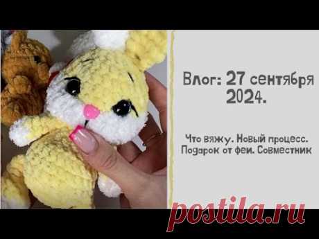 Влог: 27.09.24. Что вяжу. Новый процесс. Подарок от феи. Совместник