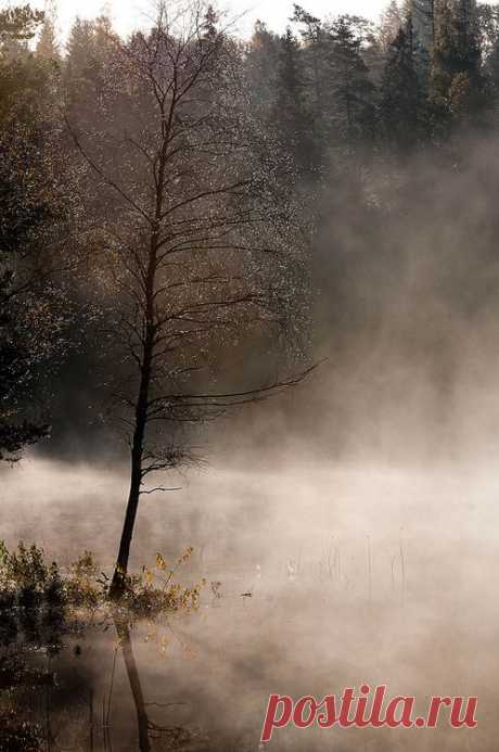 What if winter is not a place outside?