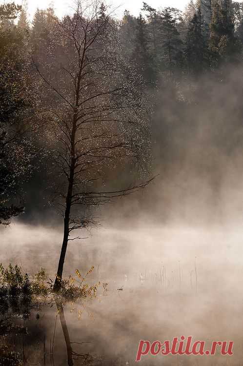 What if winter is not a place outside?