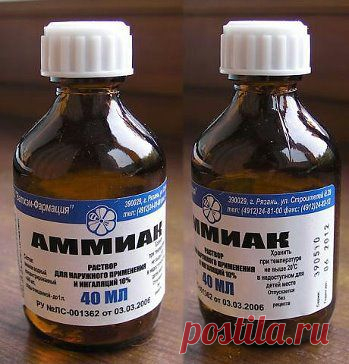 (3) Одноклассники