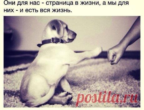 Юлия Атрощенко