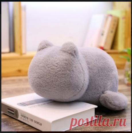 Котик