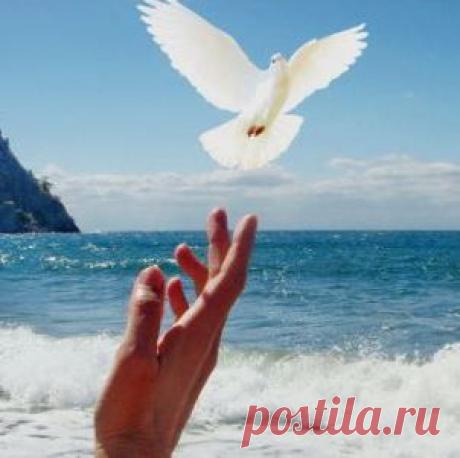 Обучение Рейки - Системы Рейки | Империя Рейки