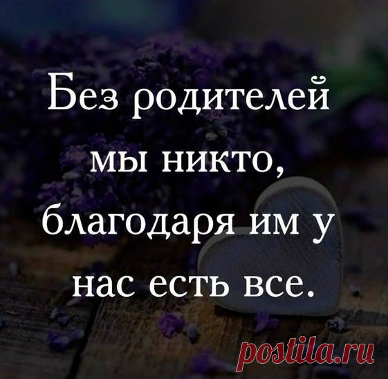 15 острых и умных высказываний, в которых кроется — вся суть