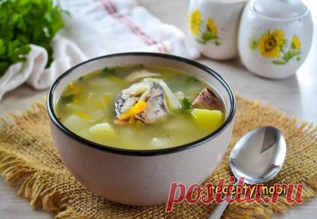 Рыбный суп из консервов сардины

✅ Ингредиенты
▫ консервированная сардина - 1 банка;
▫ картофель - 4-6 шт;
▫ морковь - 1 шт;
▫ лук - 1 шт;
▫ вермишель - 50 г;
▫ соль - по вкусу;
▫ перец черный молотый - по вкусу;
▫ лавровый лист - 1 шт;
▫ зелень - по вкусу.