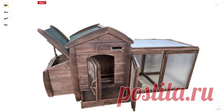 курятник