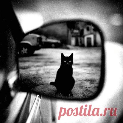 Помните, у Пушкина? 