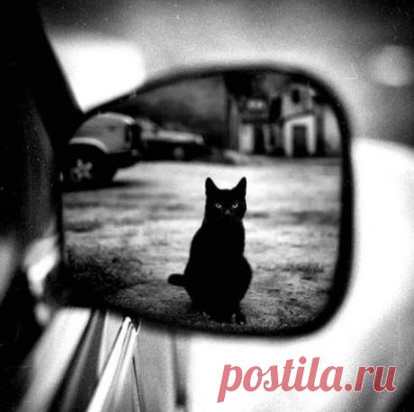 Помните, у Пушкина? "Отелло не ревнив, он доверчив". Самая ужасная рана возникает от удара по тому месту, где ты чист, где ты хороший, где ты менее всего этого заслуживаешь.