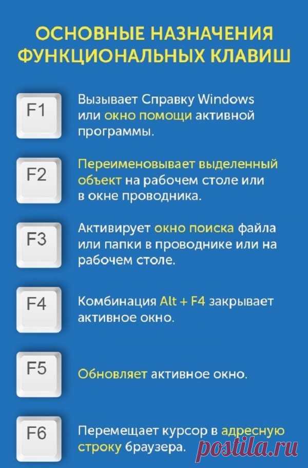 ИЗЫСКАННЫЙ ГРИБНОЙ СУП С ФУНЧОЗОЙ. 

Ингредиенты :
Фунчоза — 100 г
Лук репчатый (большой) — 1 шт
Морковь (средняя) — 1 шт
Помидор (крупный) — 1 шт
Чеснок — 5 зуб.
Вешенки — 200 г
Соевый соус (Киккоман) — 3 ст. л.
Соль (по вкусу)
Масло растительное — 2 ст. л.